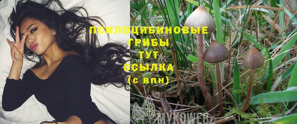 MDMA Белоозёрский