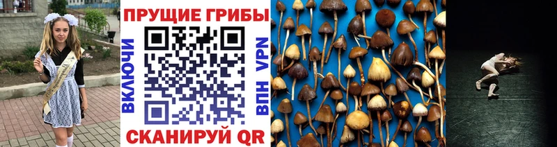 Псилоцибиновые грибы GOLDEN TEACHER  купить   Воскресенск 